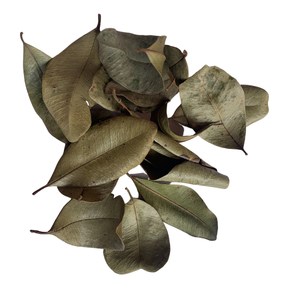 All Spice Leaf [25 grams]