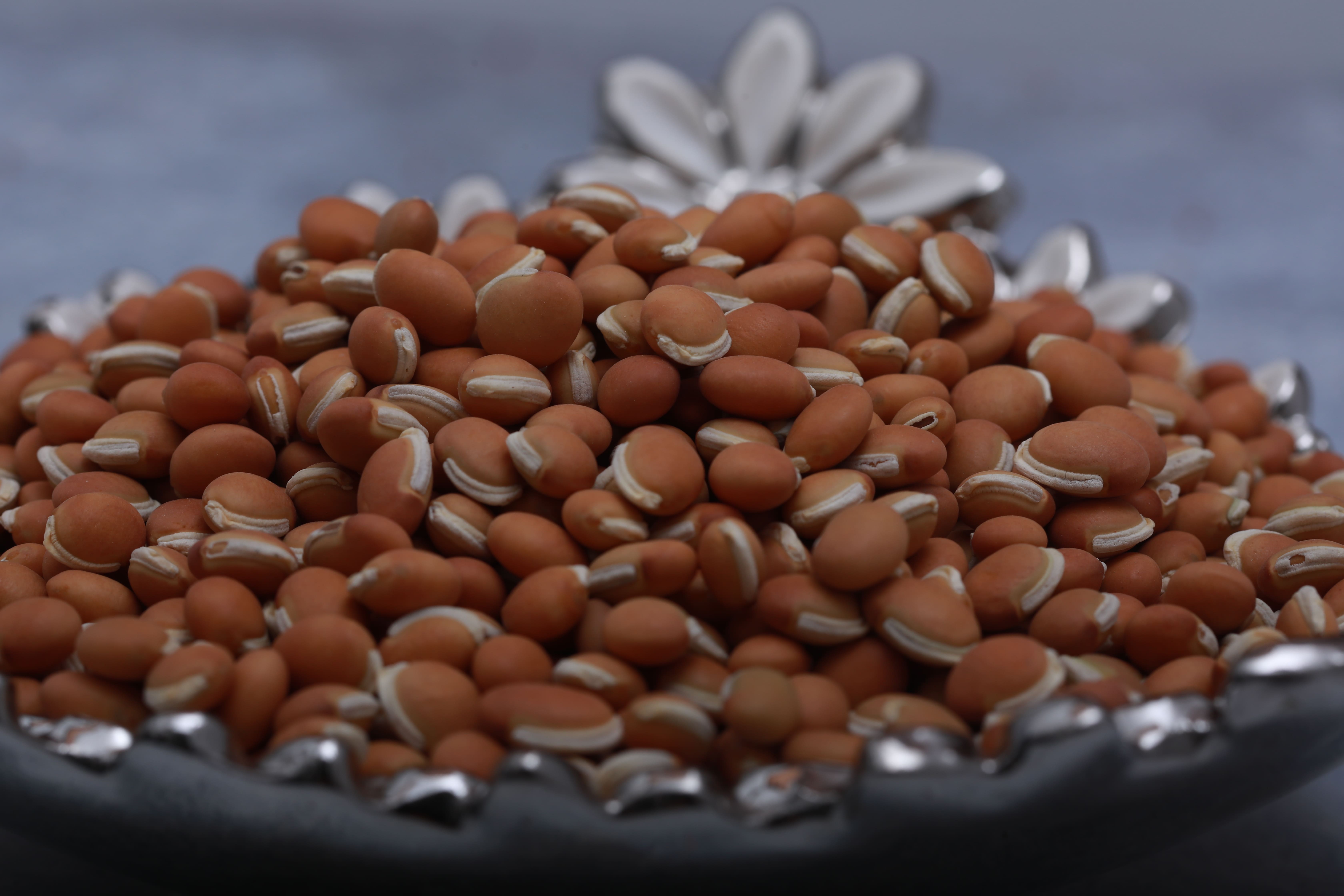 Country Mochai [500 grams]
