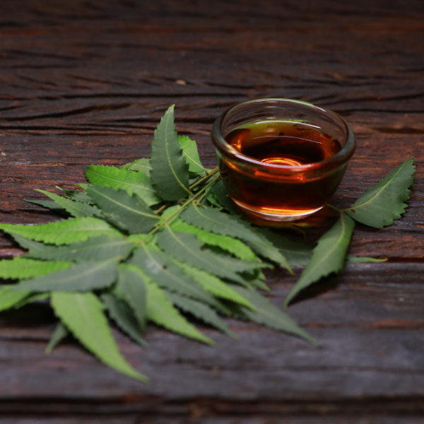 Neem Oil [200 ml]