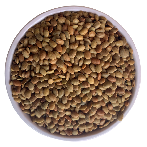 Horse Gram (Kollu) [500 grams]